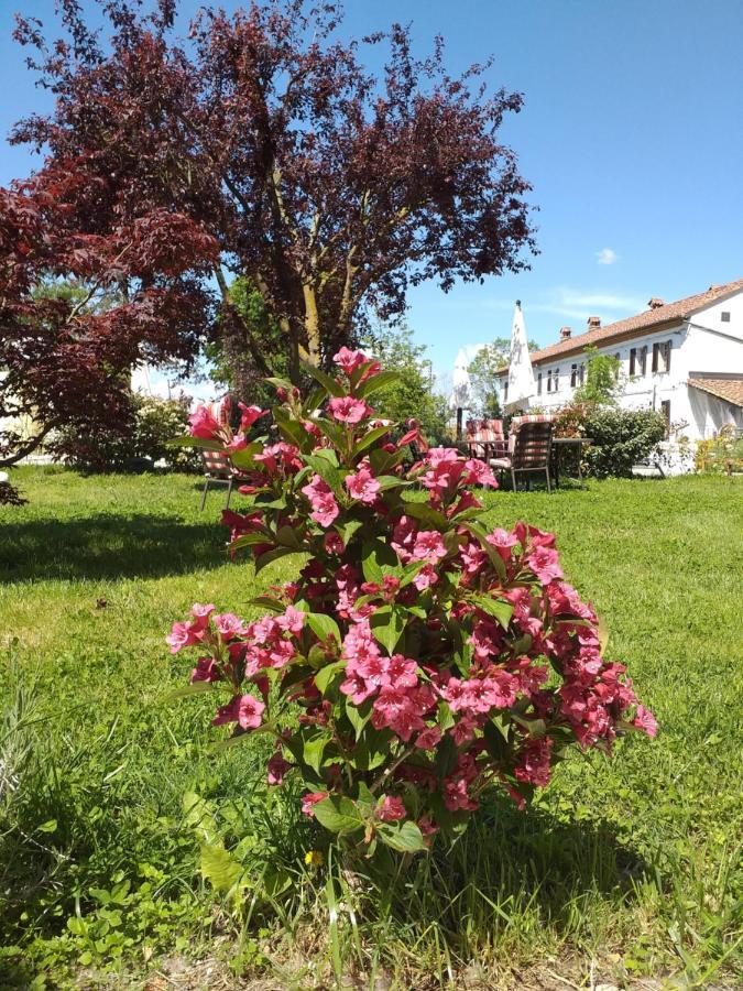 Cascina Belvedere Holiday home *